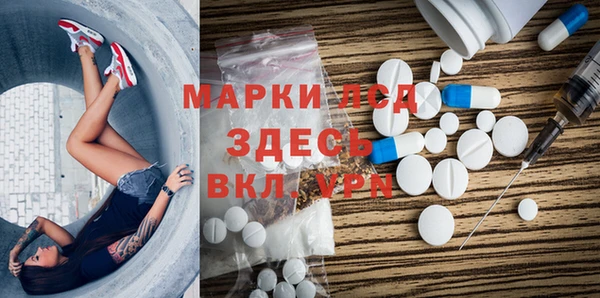 хмурый Инсар