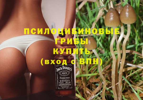 mix Инта