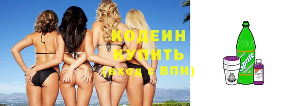 mix Инта