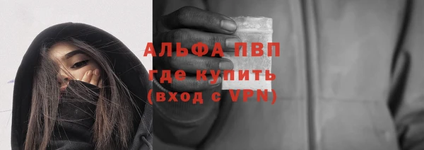 хмурый Инсар