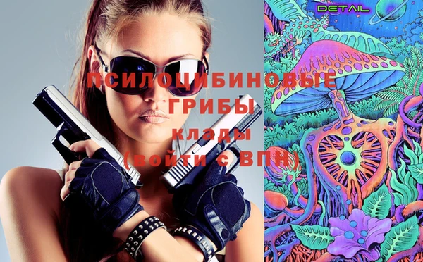 хмурый Инсар