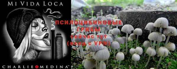 mix Инта