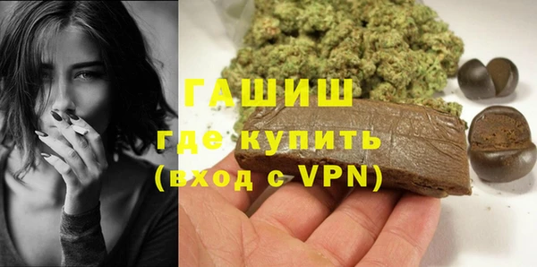 mix Инта