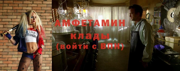 mix Инта