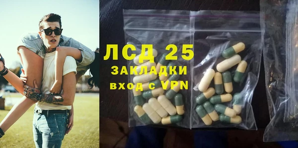 хмурый Инсар