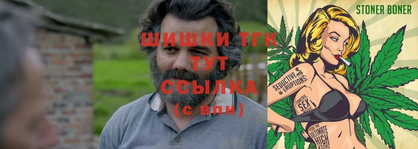 тгк Иннополис