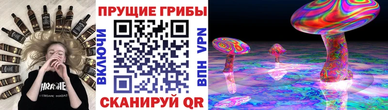 Купить Туапсе Галлюциногенные грибы GOLDEN TEACHER